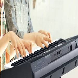 PORTABLE KEYBOARDS