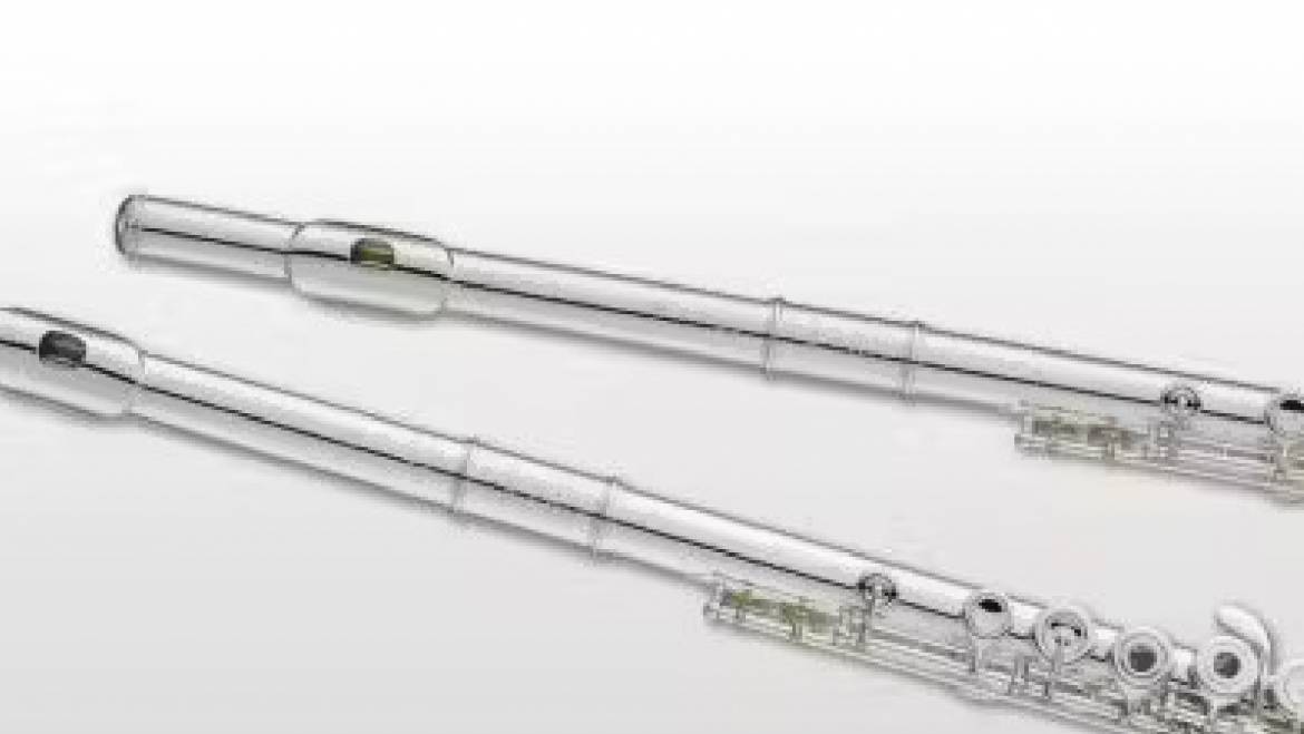 Flute Care and Maintenance Tips for Musicians in Bahrain